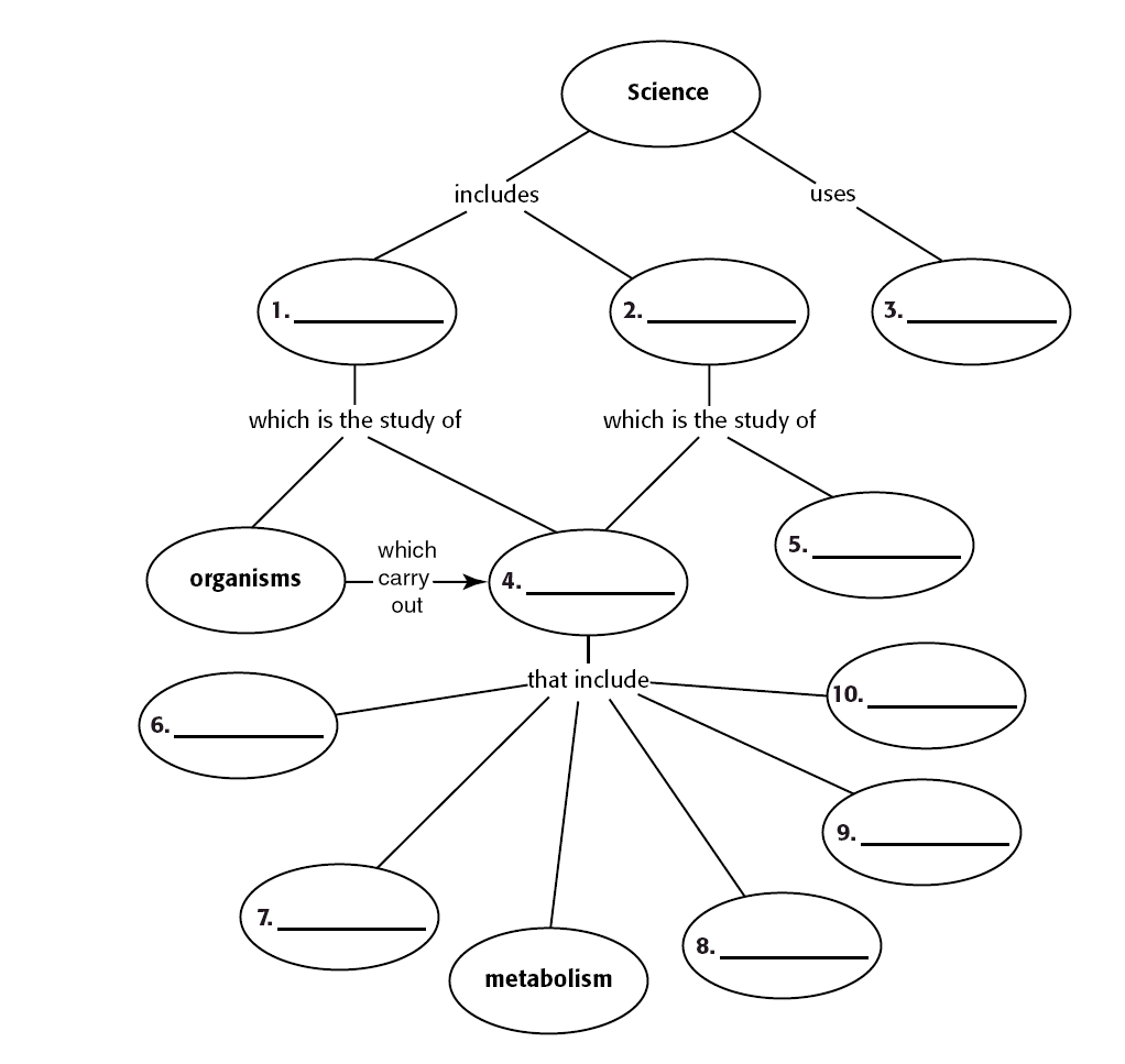 Graphing Practice BIOLOGY JUNCTION