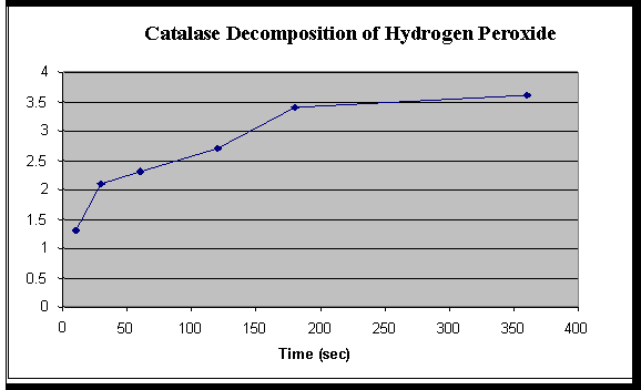 AP Sample 4 Lab 2 Enzyme Catalysis BIOLOGY JUNCTION