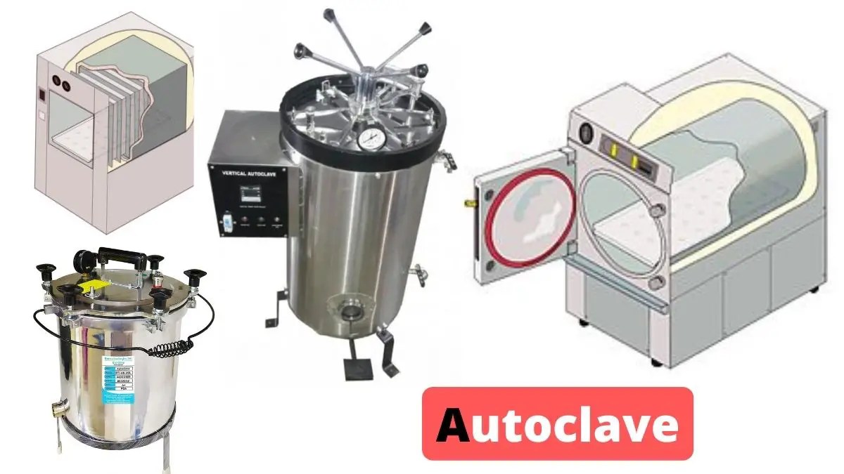 Autoclave Definition, Principle, Parts, Operating Procedure, Uses Biology Notes Online