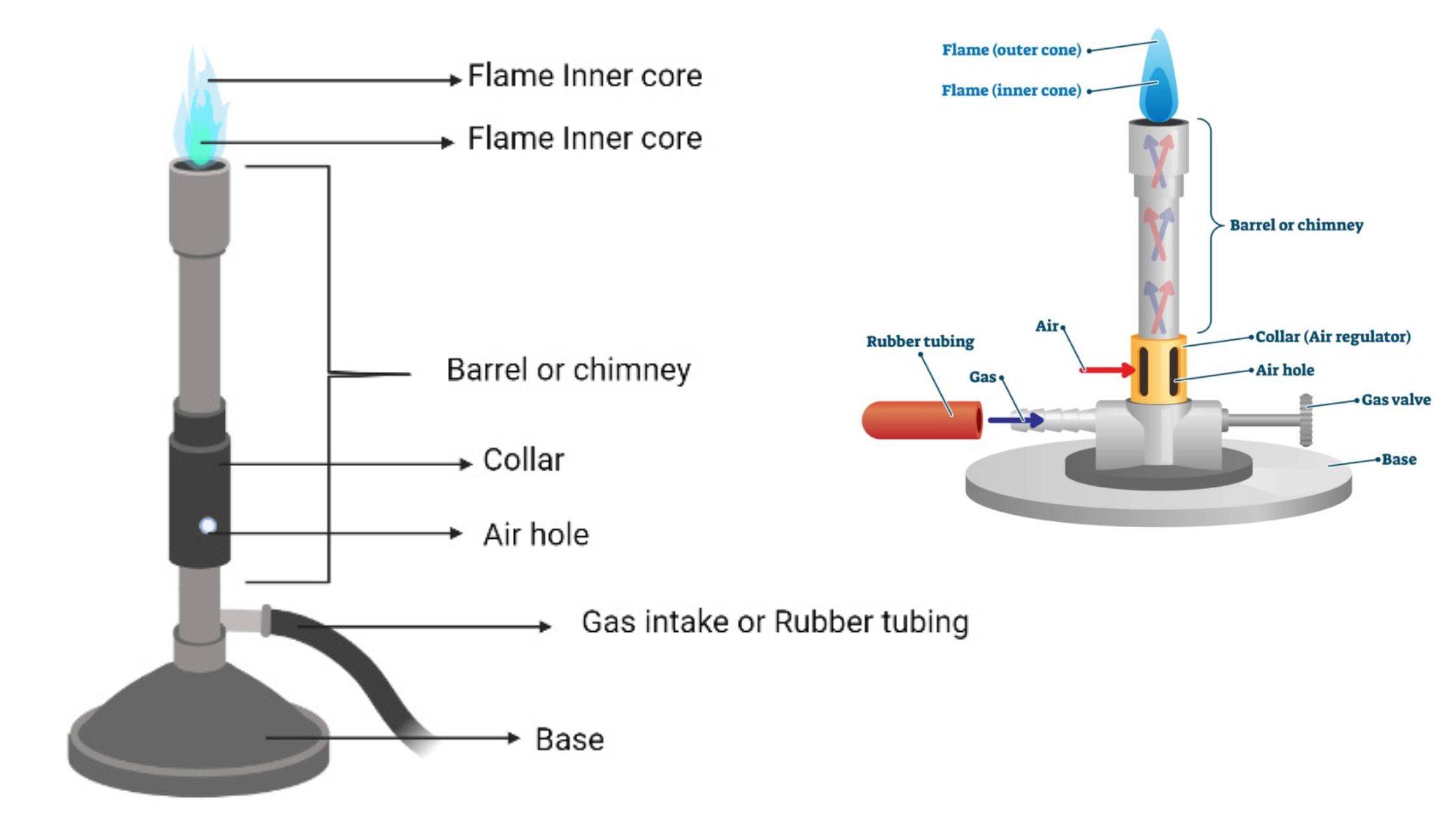 Instruments Biology Notes Online