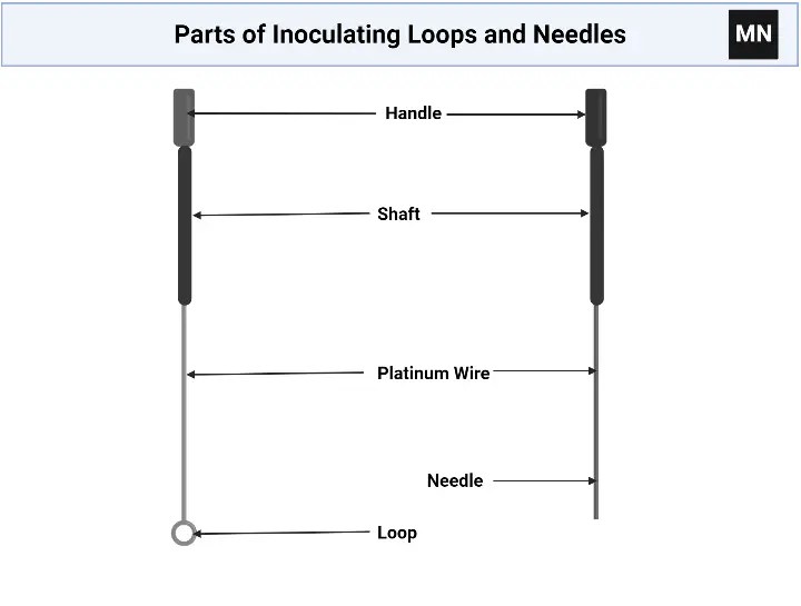Inoculating Loops and Needles Definition, Principle, Parts, Procedure