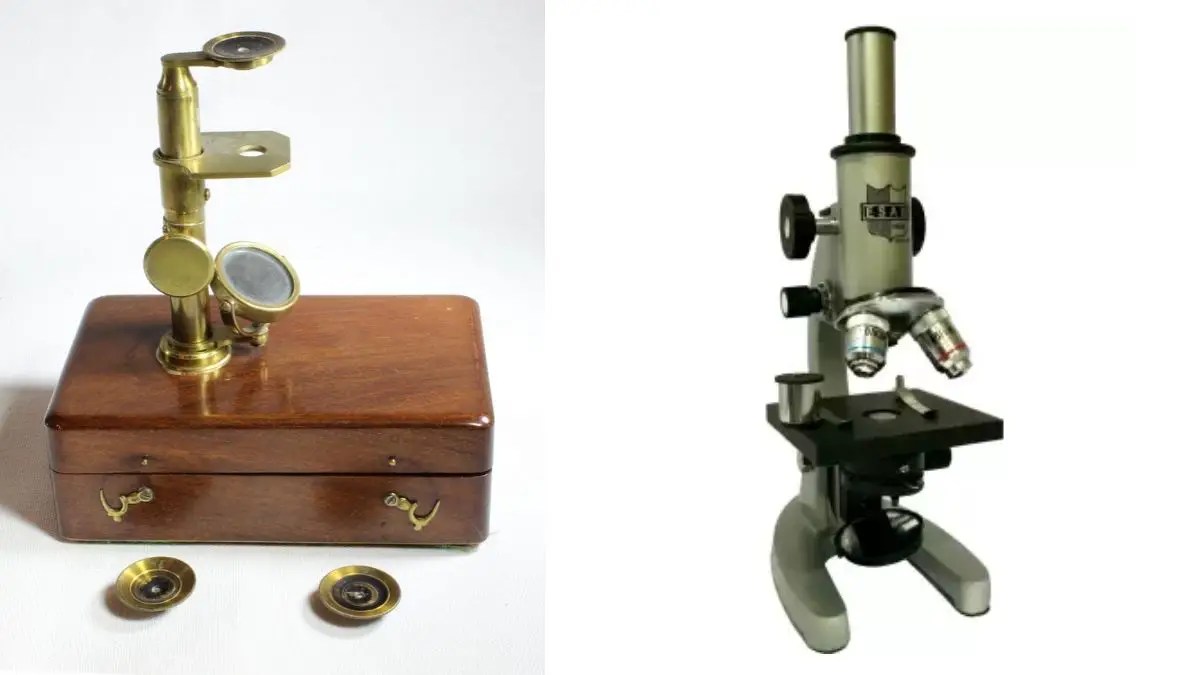 Simple Microscope Definition, Principle, Parts, Uses Biology Notes