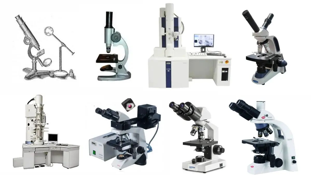 Types of Microscopes With Definitions, Principle, Uses, Labeled