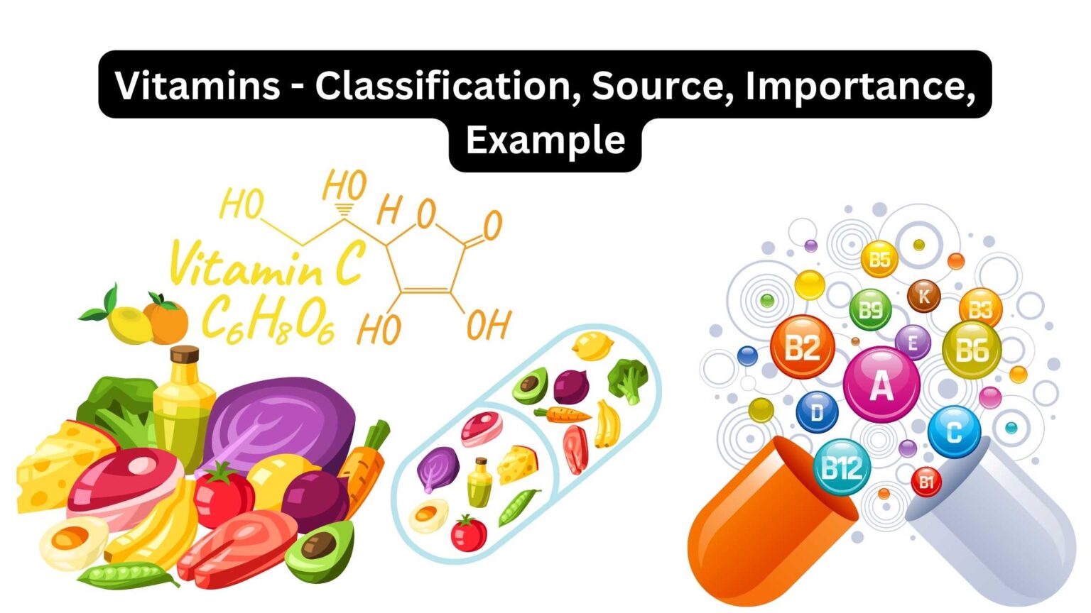 Vitamin Biology Notes Online
