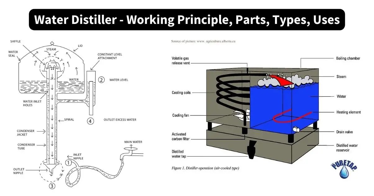 Water Distiller Working Principle, Parts, Types, Uses Biology Notes