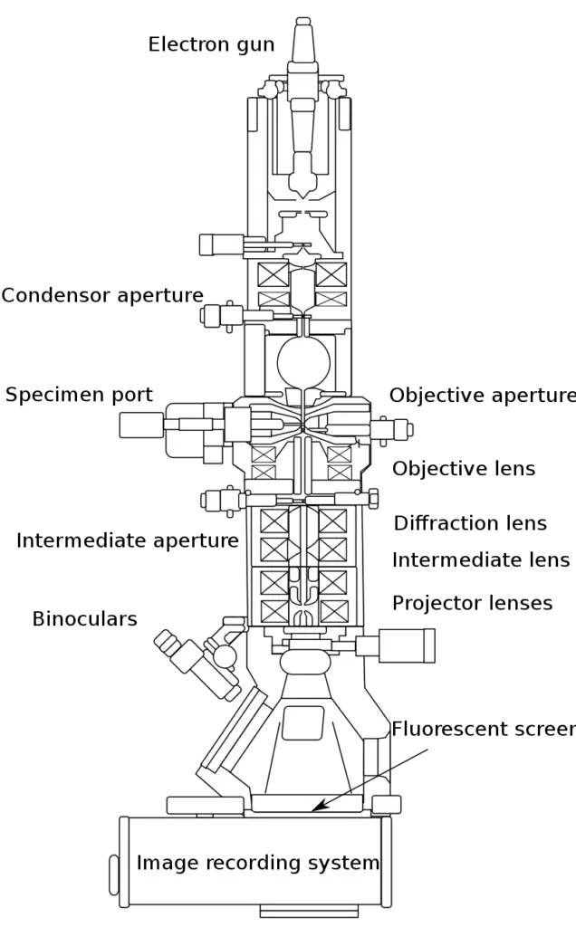 Transmission Electron Microscope Definition, Parts, Working Principle, Applications