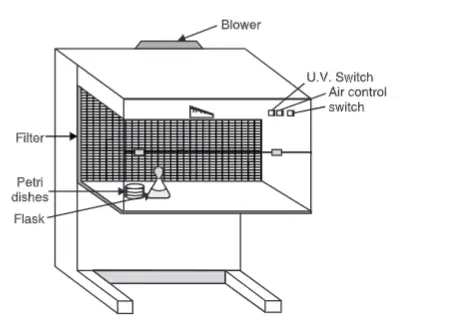 Laminar flow hood/cabinet - Parts, Principle, Application - Biology