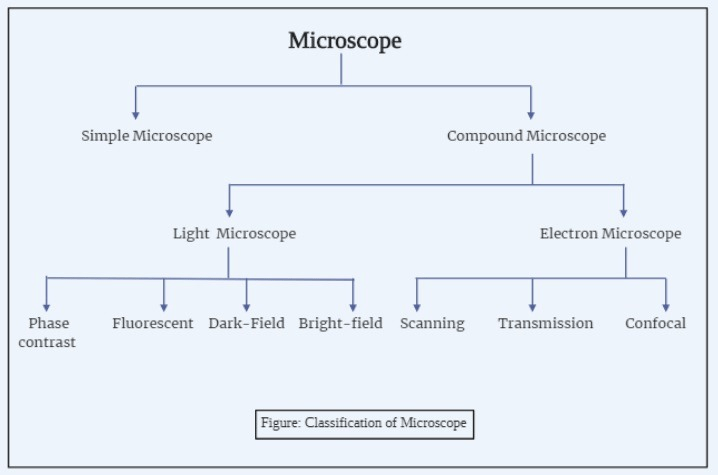 Types of Microscopes With Definitions, Principle, Uses, Labeled