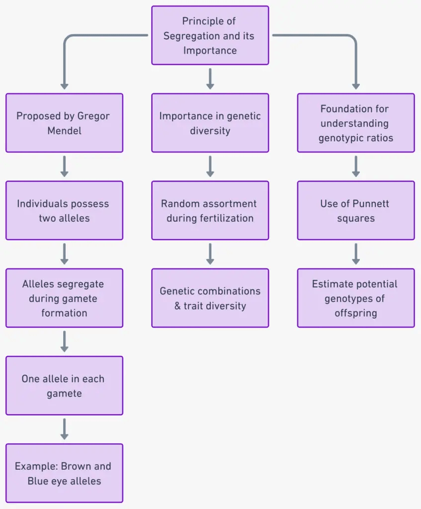 Mendel’s Law of Segregation Definition, Principle, Examples