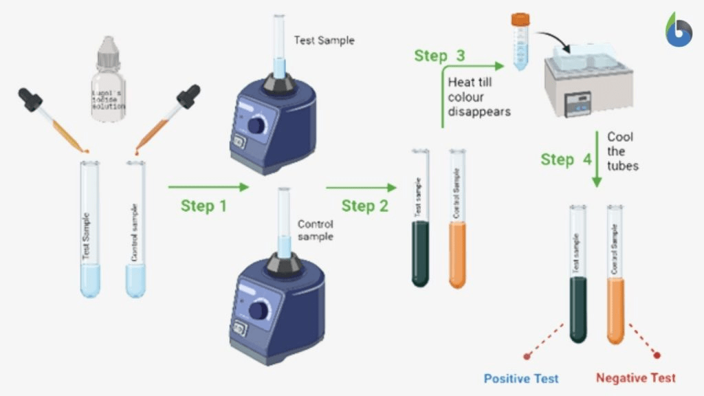 Iodine Test Iodine test for starch Principle, Procedure, Result, Uses Biology Notes Online