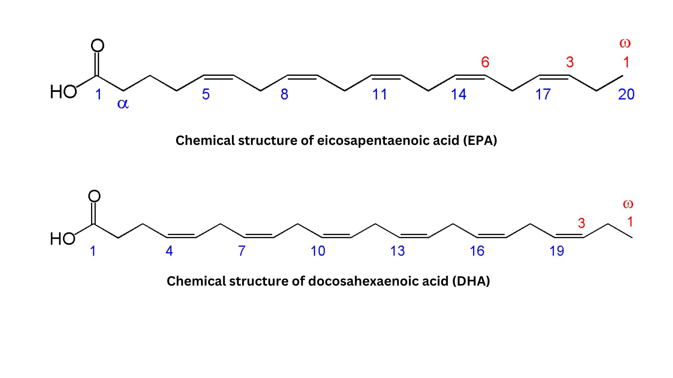 Biochemistry Biology Notes Online