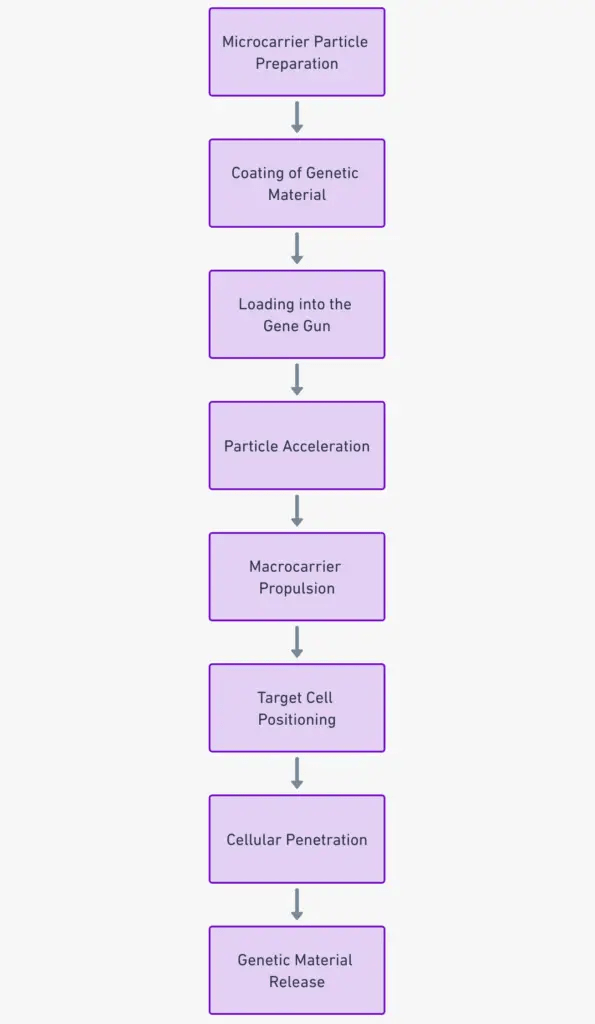 Microprojectile Bombardment Definition, Components, Steps, Applications Biology Notes Online