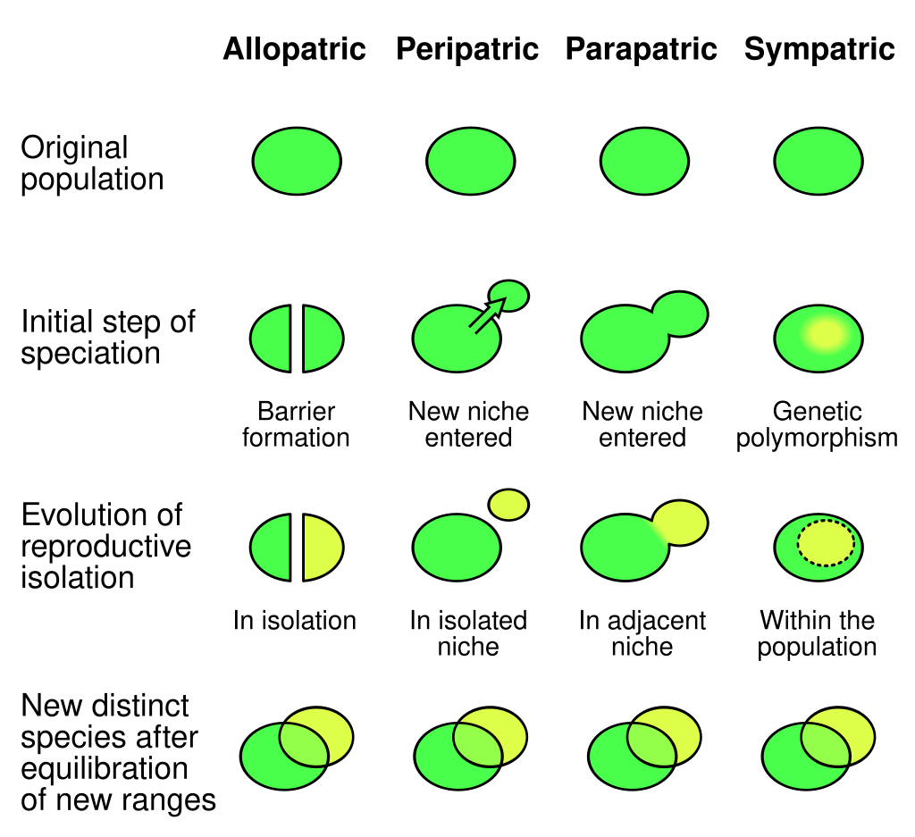Speciation Definition, Causes, Types, Process Biology Notes Online
