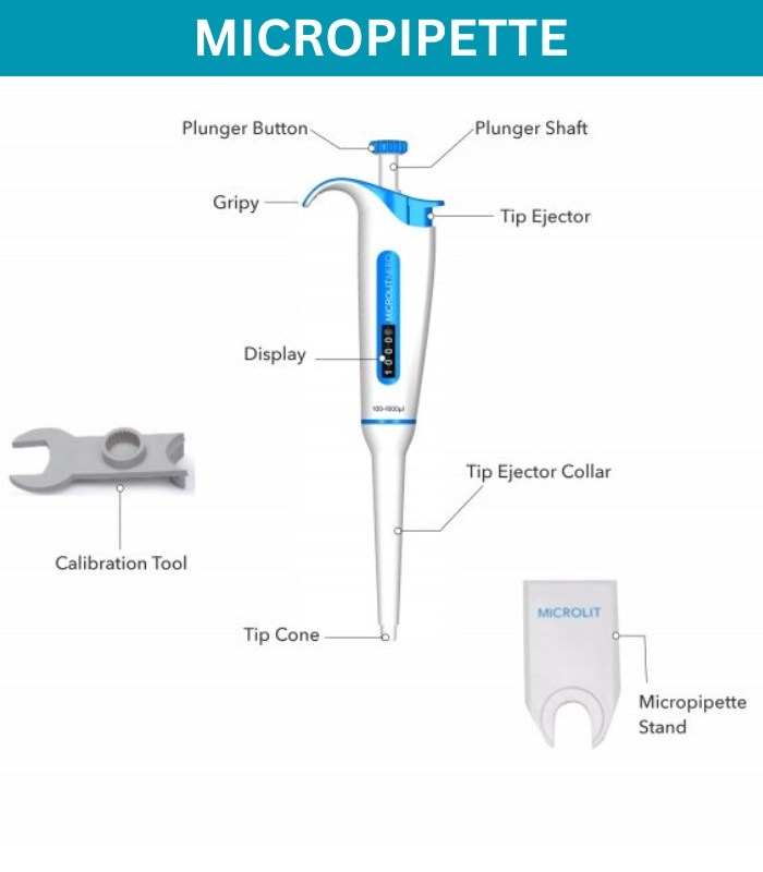 RBC Count Method Procedure, Principle, Result