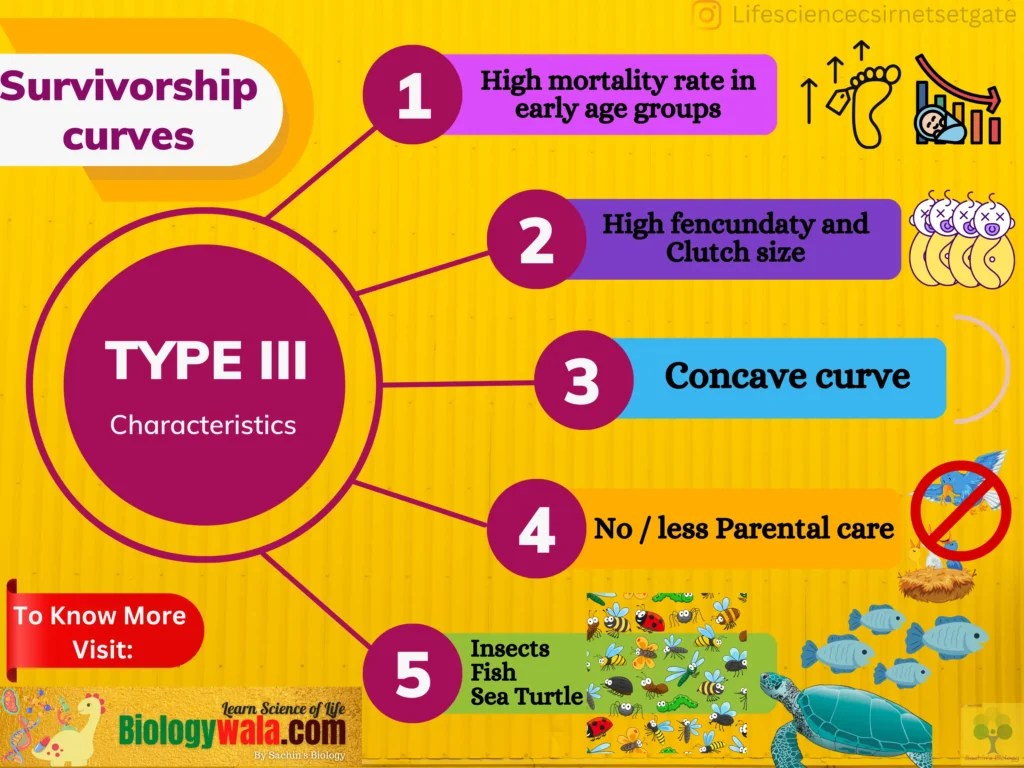 Survivorship Curves All 3 Types And Their Important Examples