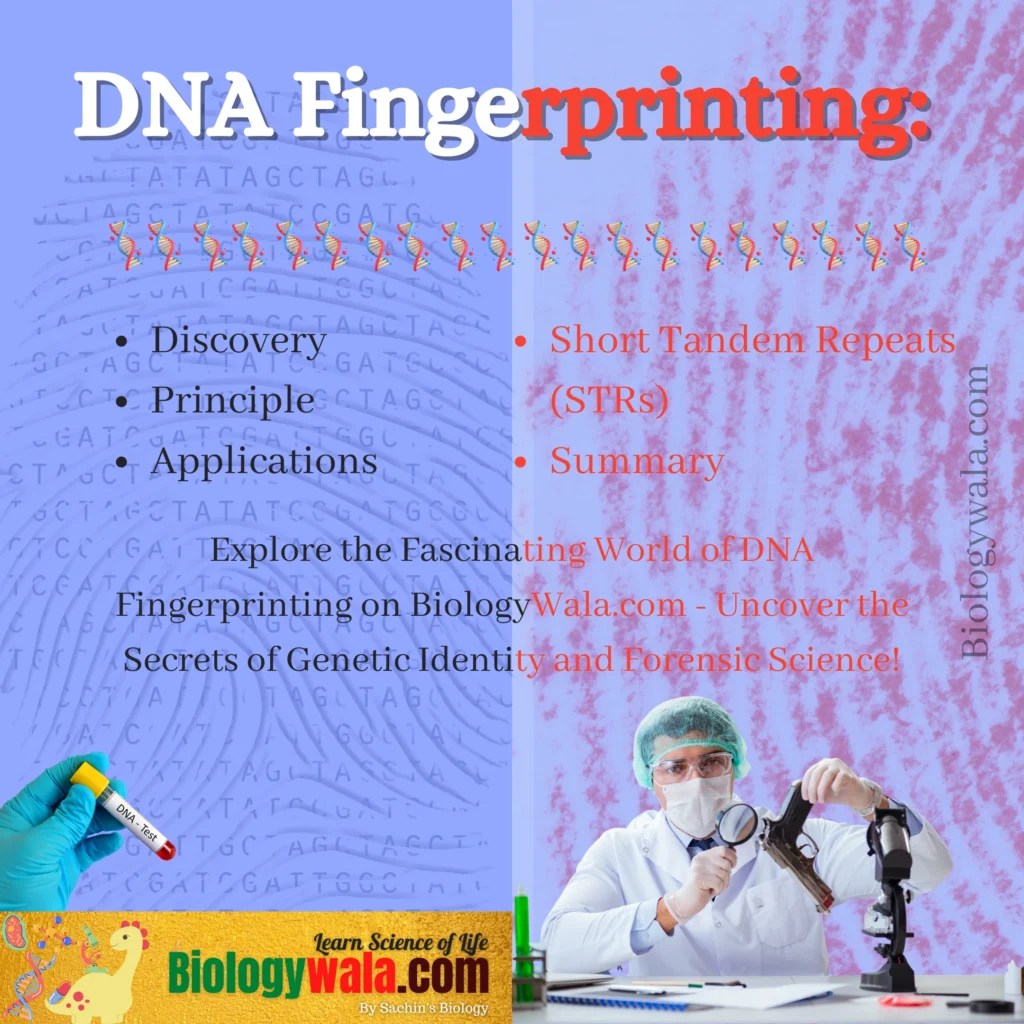 DNA Fingerprinting 7 Critical Applications By