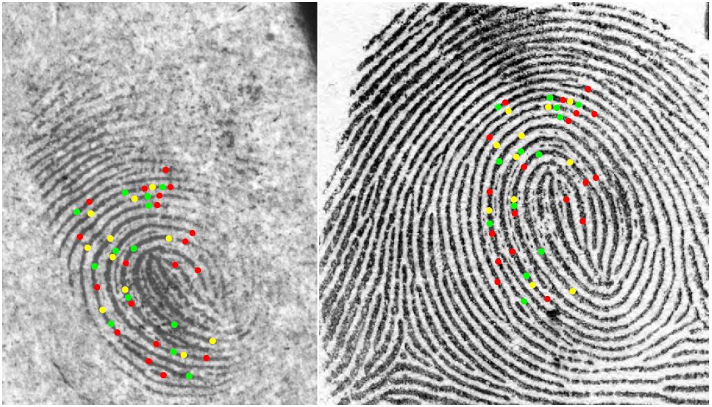 Biometrics Research Group