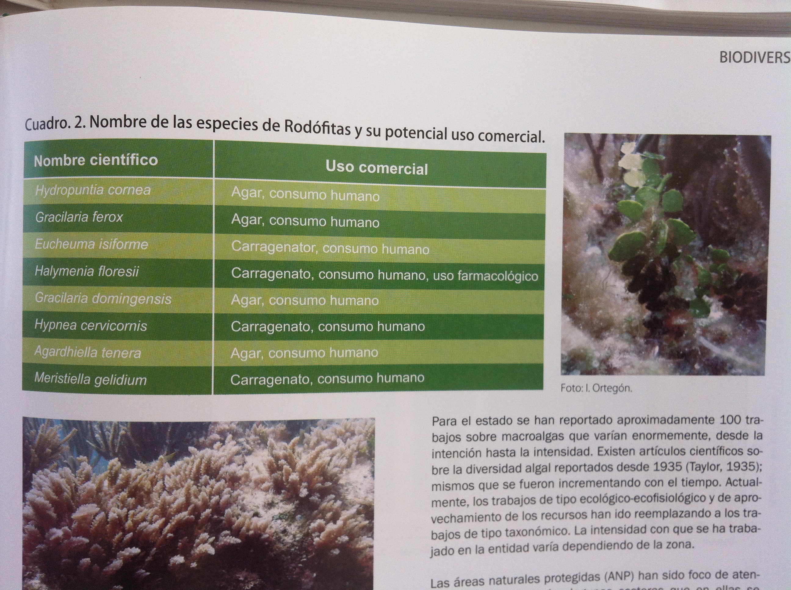 20140130 Biodiversidad y Desarrollo Humano en Yucatán (Plantas, Hongos