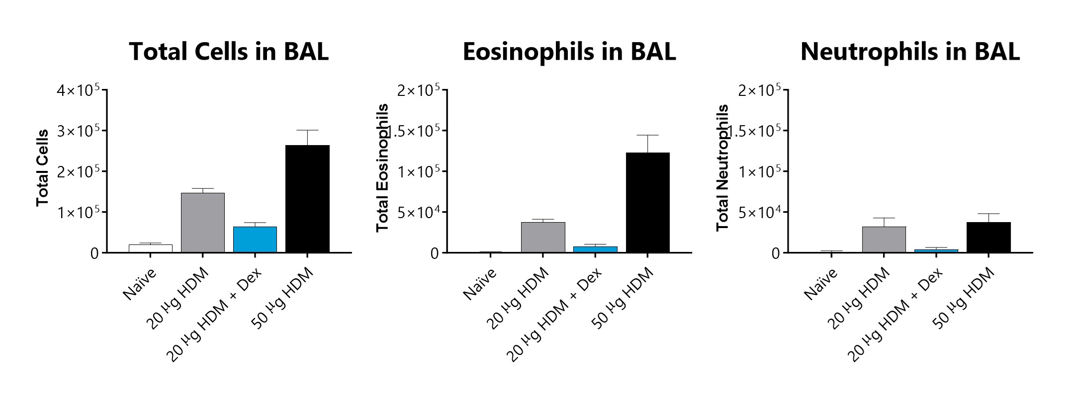 House Dust Mite (HDM)Induced Allergic Asthma BioModels