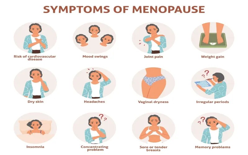 Menopause Signs Identifying Key Symptoms Biom Probiotics