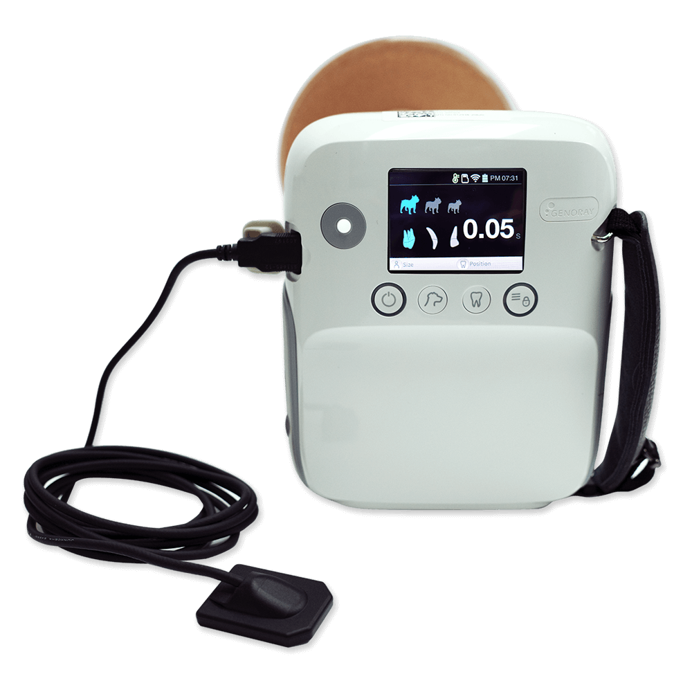 Veterinary Dental Xray America
