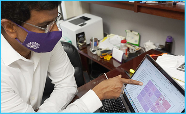 3.68 M NIH Grant Supports KState Research on Rocky Mountain Spotted