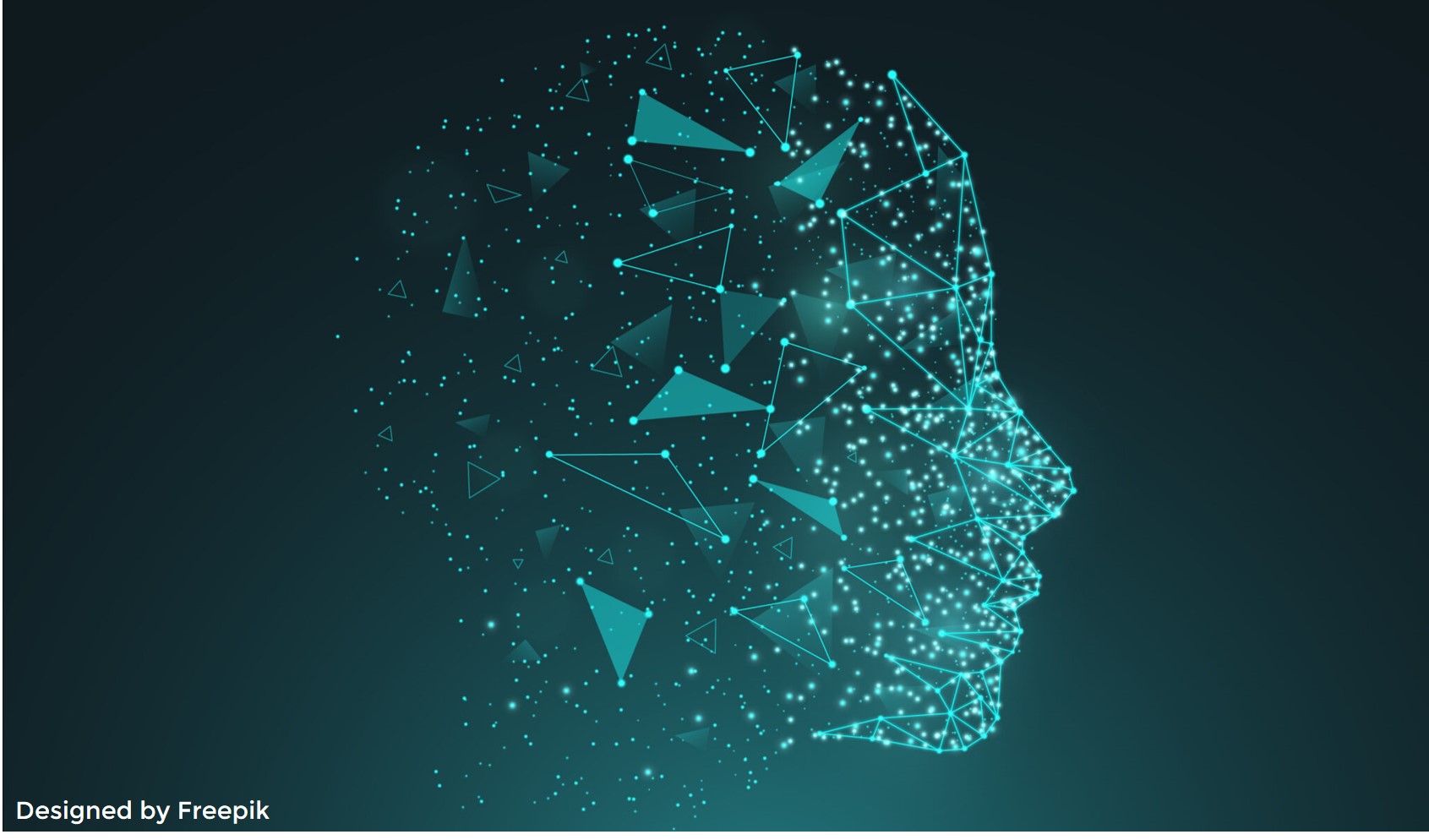 Artificial Intelligence For Zebrafish Egg Sorting Bionomous