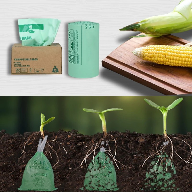 How to Dispose of Compostable Bags? ShinHigh Bio