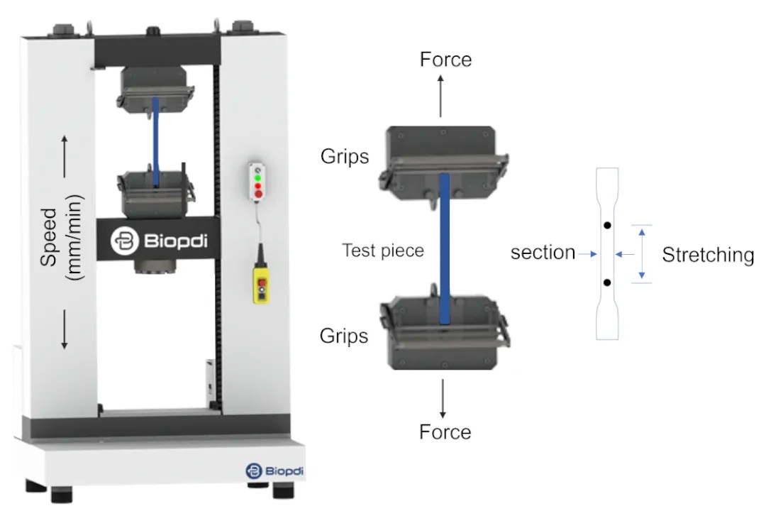 Essential Guide to Tensile Testing Strength Analysis