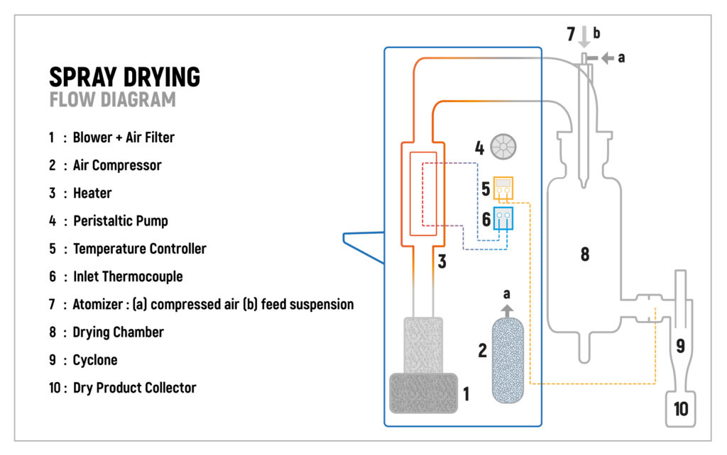 Freeze Drying vs Spray Drying Which is Most Suitable For Your
