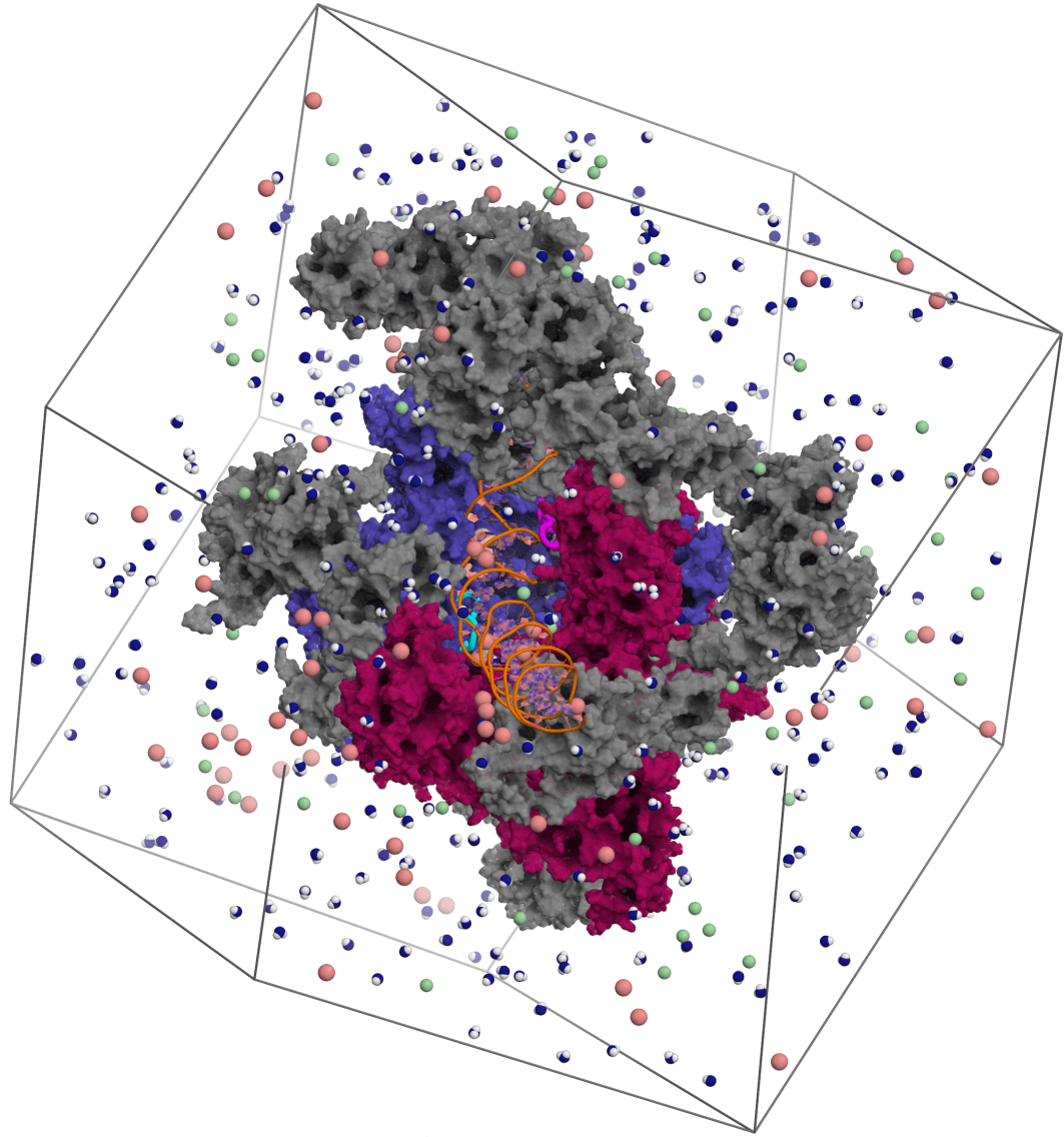 Conformational dynamics of proteins Computational Biophysics Group