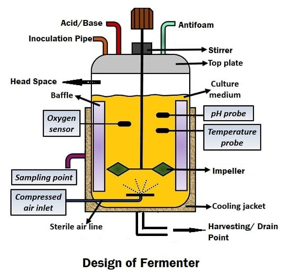 FERMENTER: FUNCTIONS, TYPES, DESIGN & CONSTRUCTION: May 2024