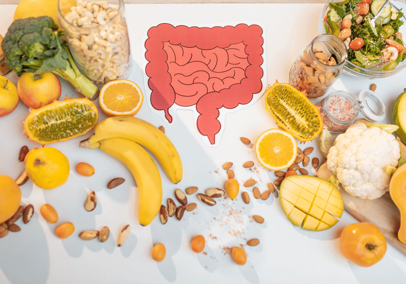 What Are Antinutrients And Gut Irritants In Vegetables? BIOptimizers Blog