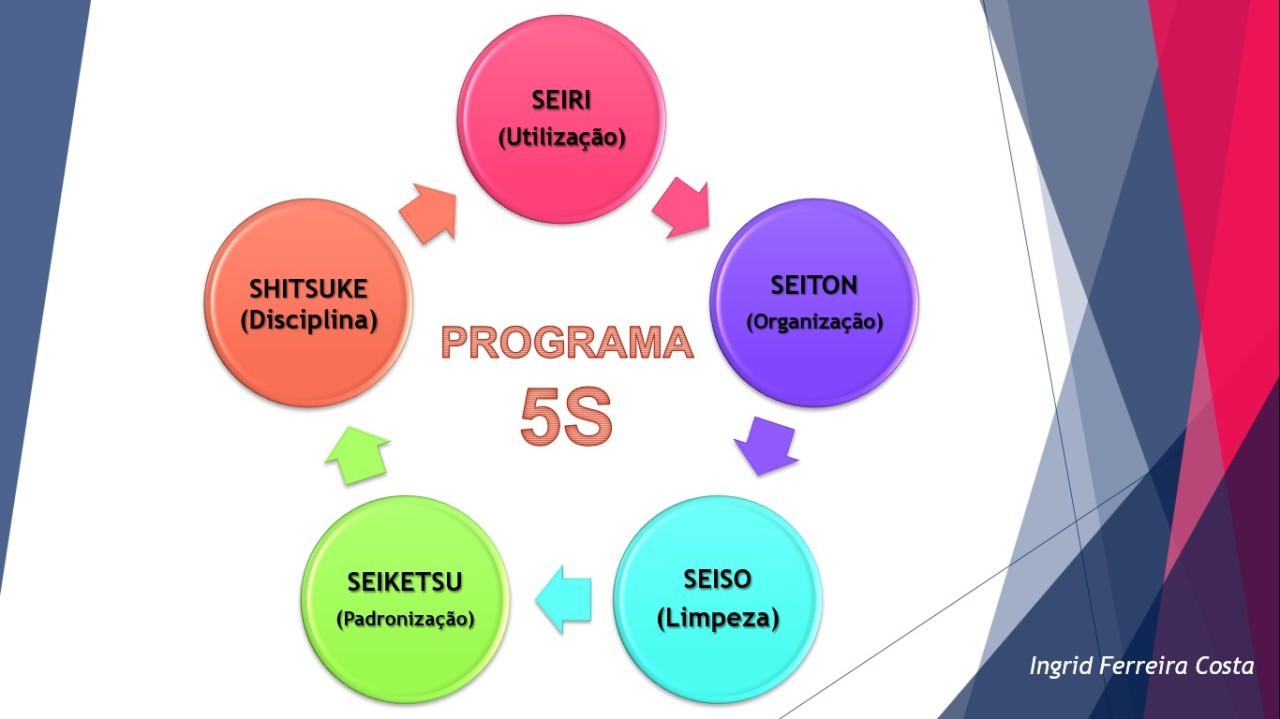 Programa 5S Gestão da Qualidade Bioquímica Brasil