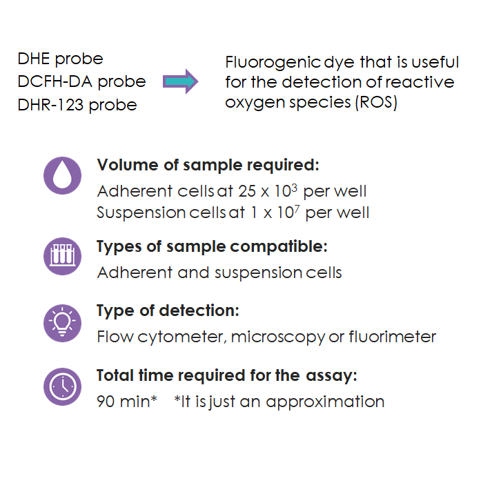 KP06005 Multiprobe REDOX Intracellular ROS Assay Kit BQC Bioquochem