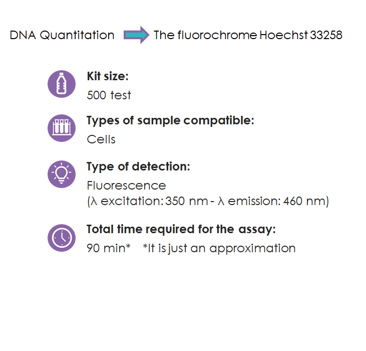 KC04003 DNA Quantification Kit Hoechst Assay Kit BQC Bioquochem