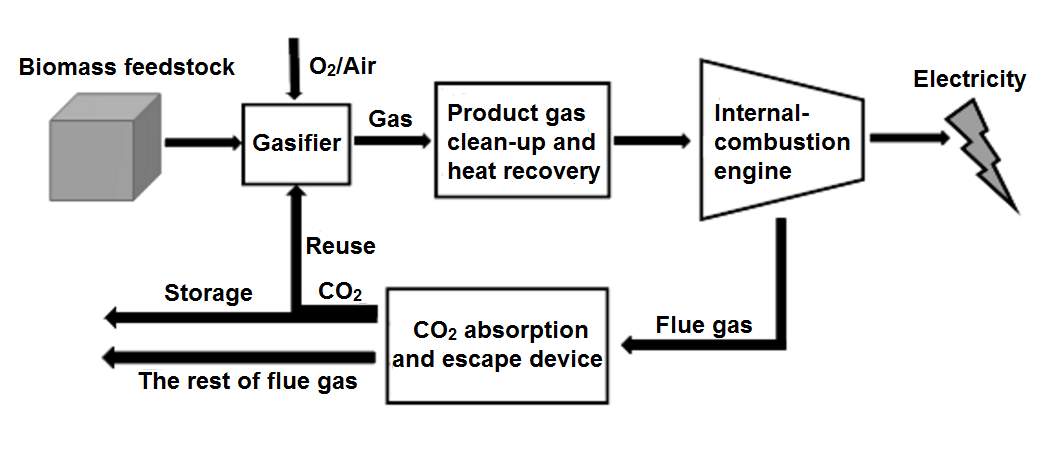 Experimental study on the gasification characteristics of biomass with