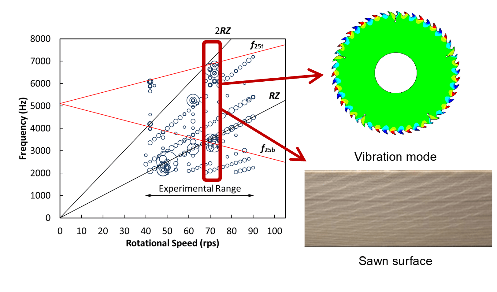 Characteristics of selfexcited alternatetooth vibration of circular