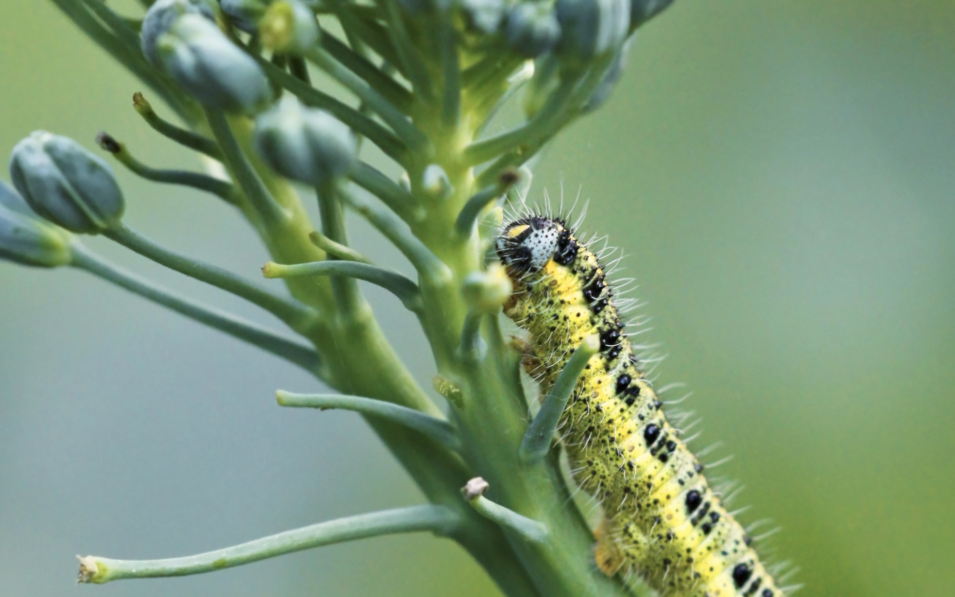 BT NOW® BioSafe Systems