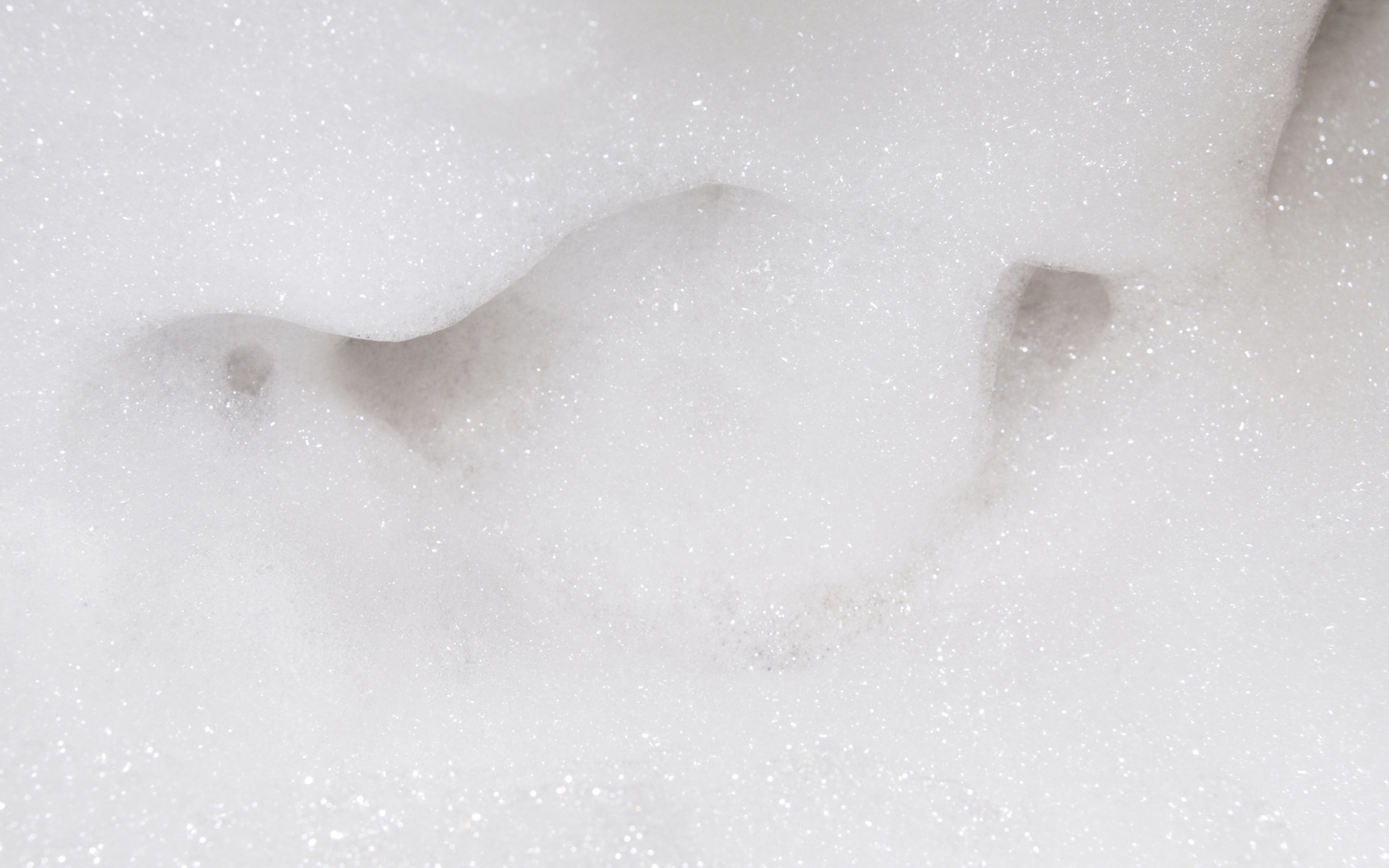 BioFoamer Foaming Agent BioSafe Systems