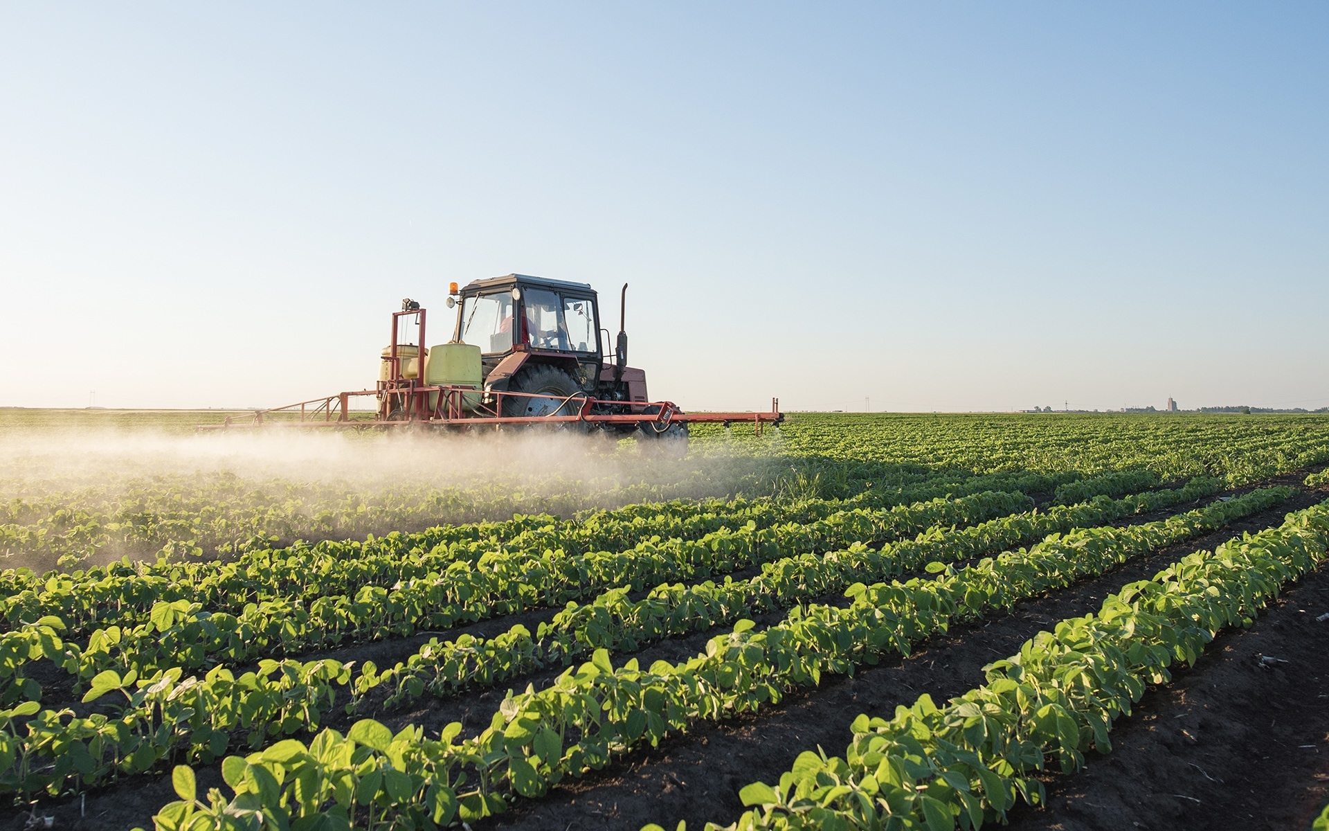 Oxidate Fungicide Reviews doceartedocer