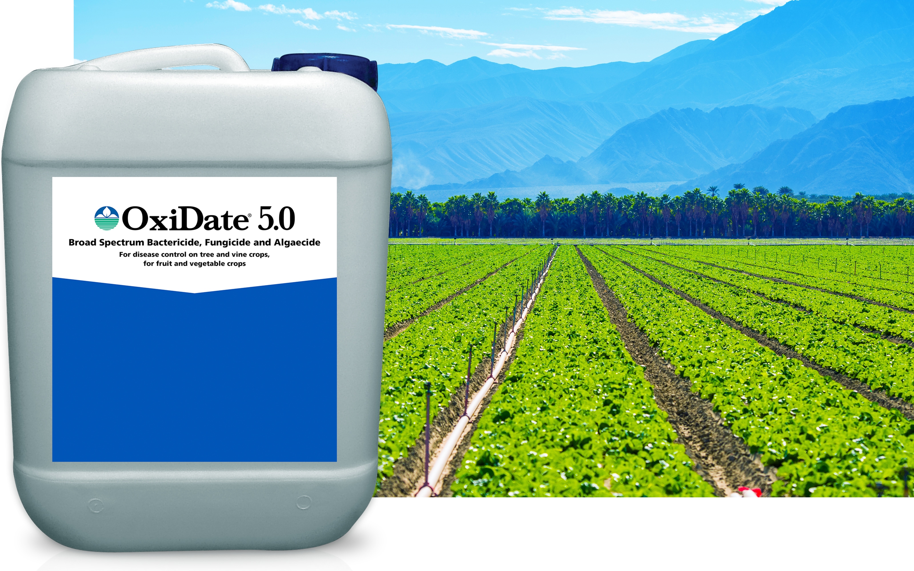 Oxidate Fungicide Reviews doceartedocer