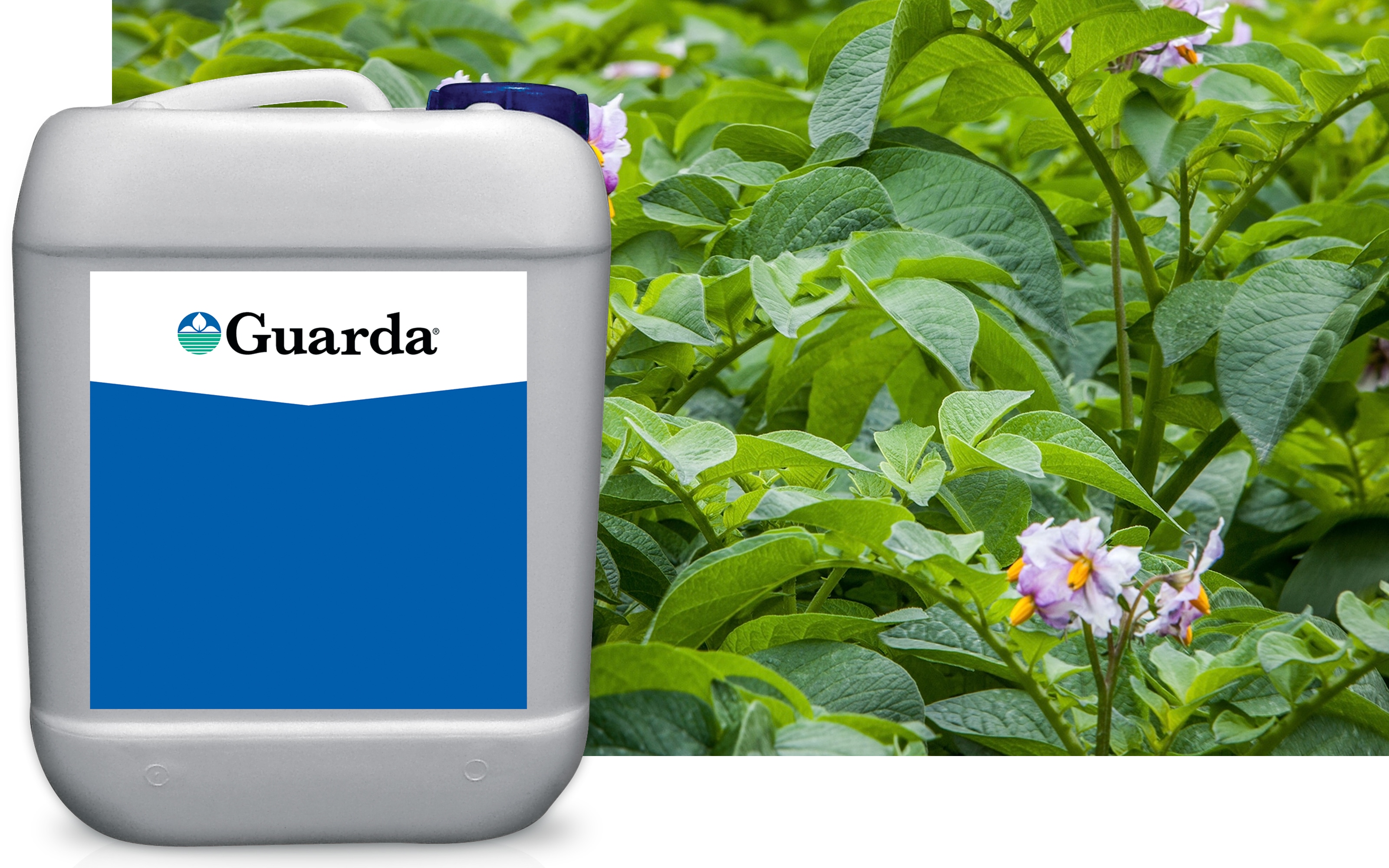 Fungicides BioSafe Systems