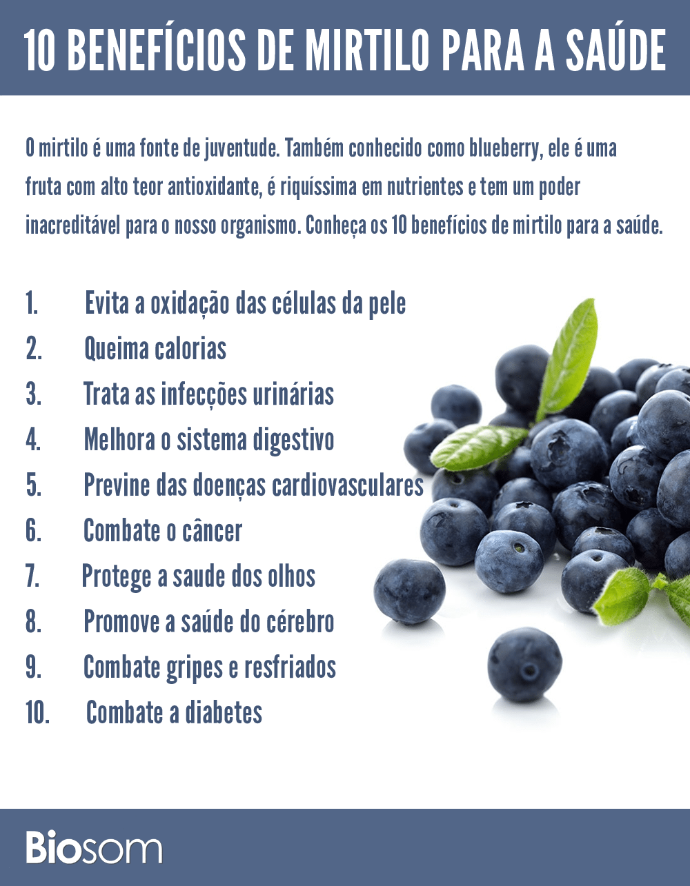 10 Benefícios do Mirtilo (Blueberry) para a saúde Biosom