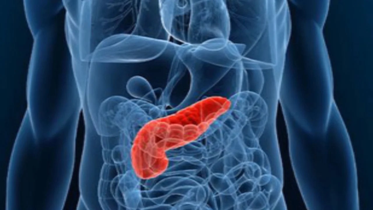 IIT researchers make implantable pancreas for treating diabetes