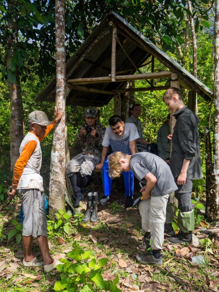 From our Sumatran tiger conservation volunteering holiday in Indonesia