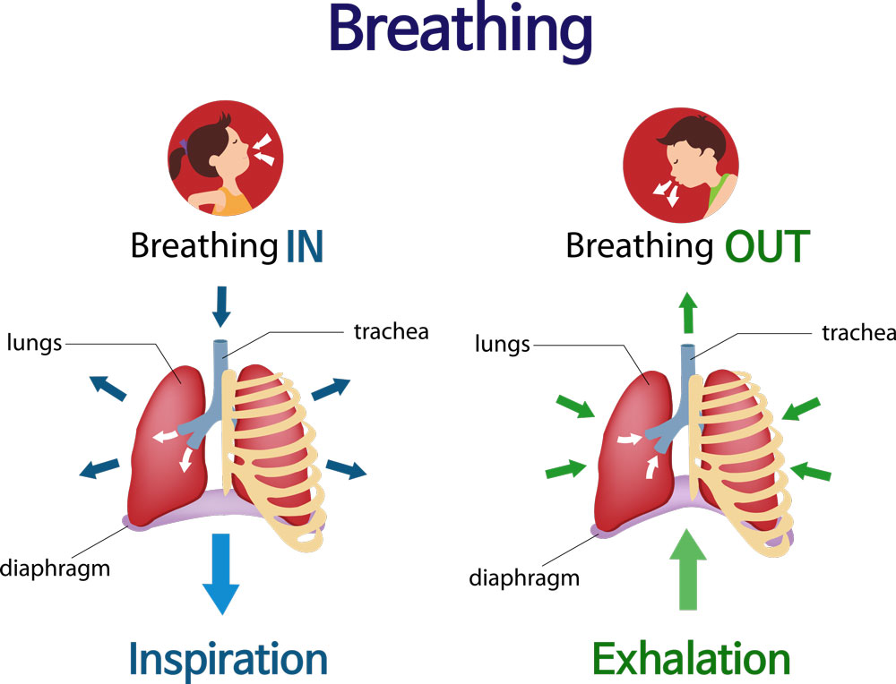 Is Breathing Giving You Back Pain?