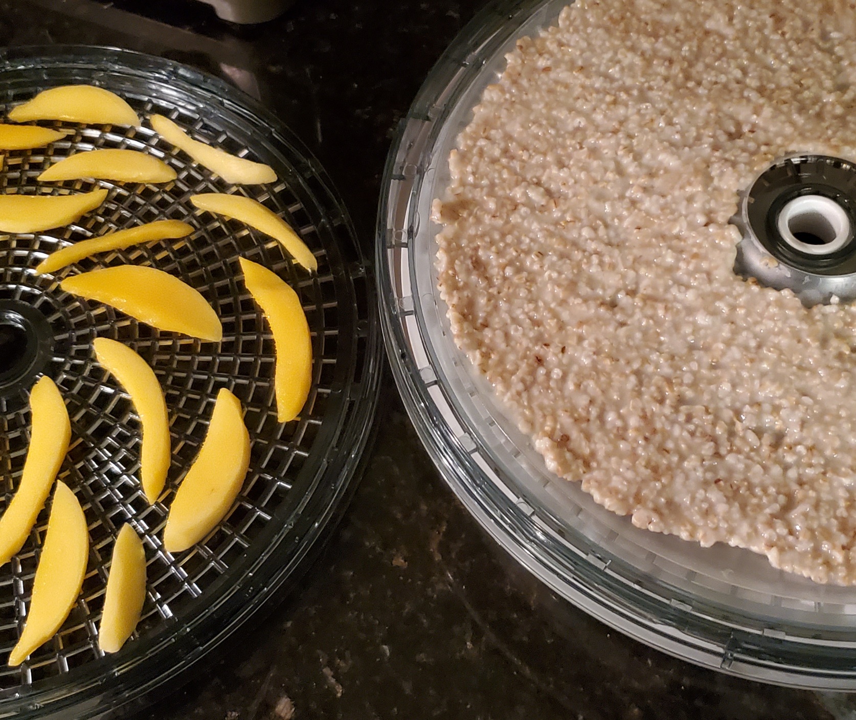 Dehydrating steel cut oatmeal for backpacking BioStatMatt