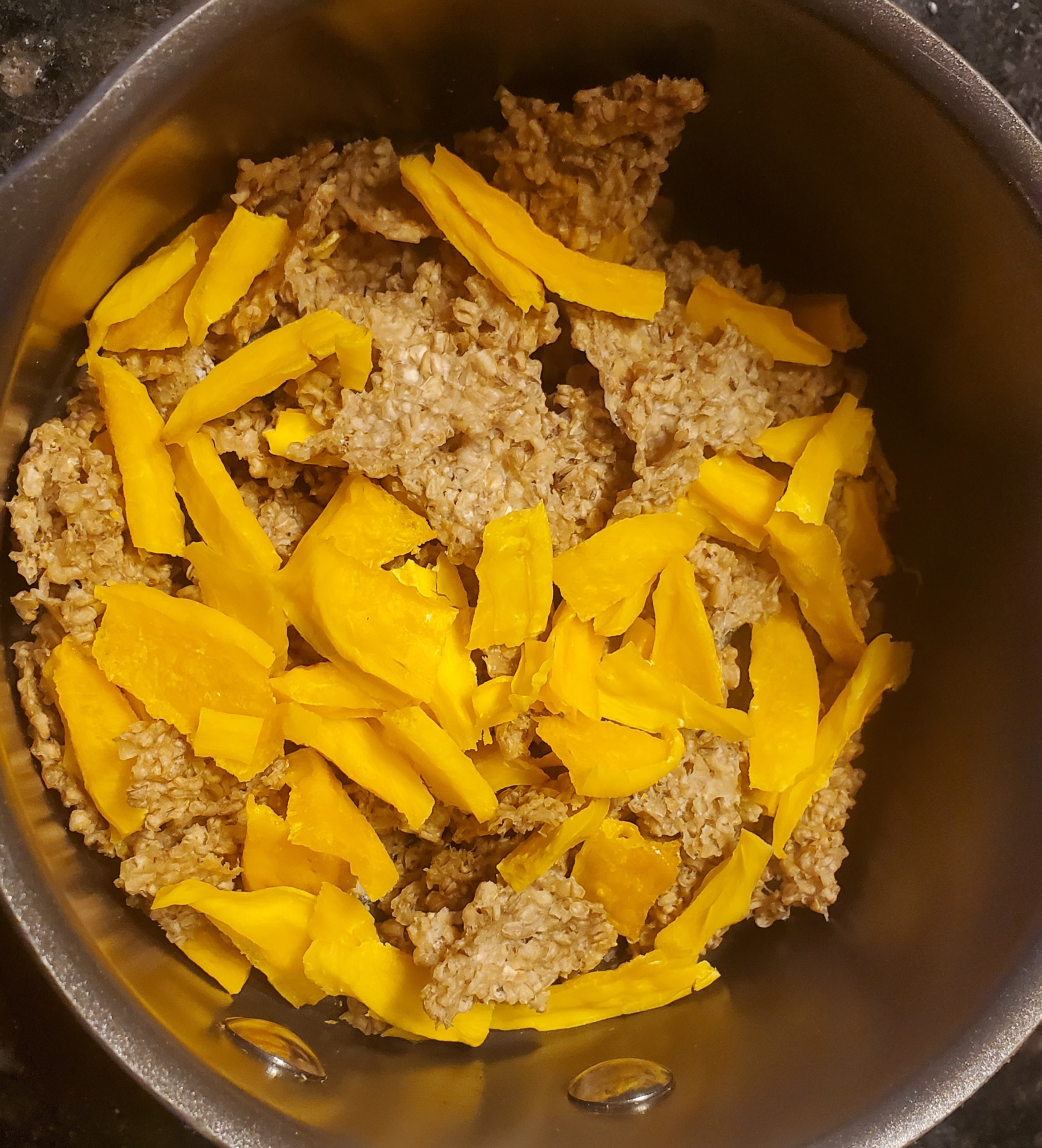 Dehydrating steel cut oatmeal for backpacking BioStatMatt