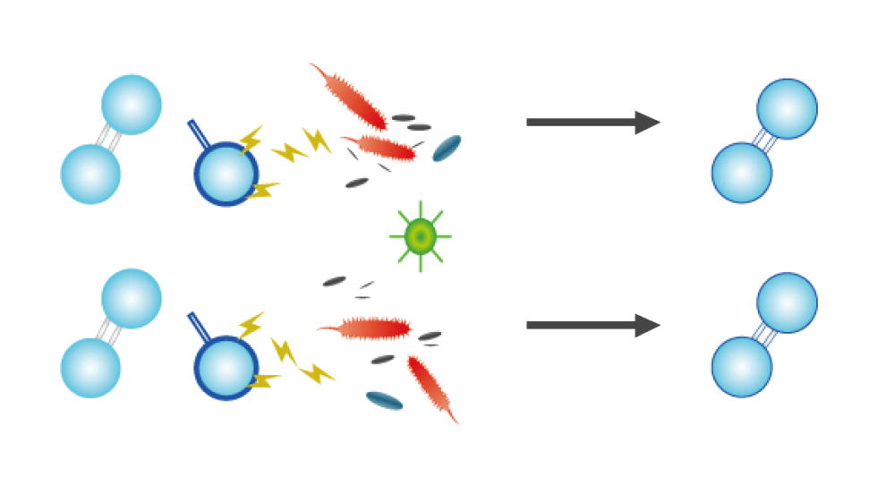 What is Ozone Water BioSure Professional